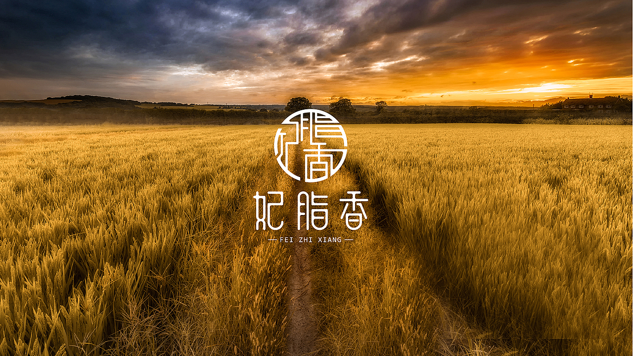 品牌包装提案&推广方案