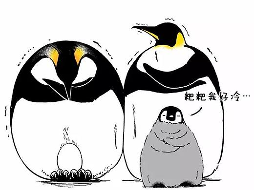 冬天的脚步已经踏来，冰箱里的温度整体下降