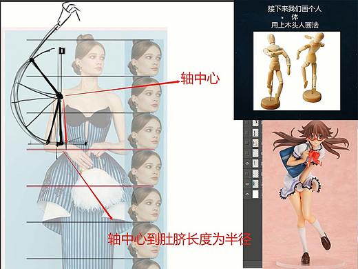 原画·板绘基础教程(笔记！笔记！笔记！) 第十课 人体的基本比例的小知识