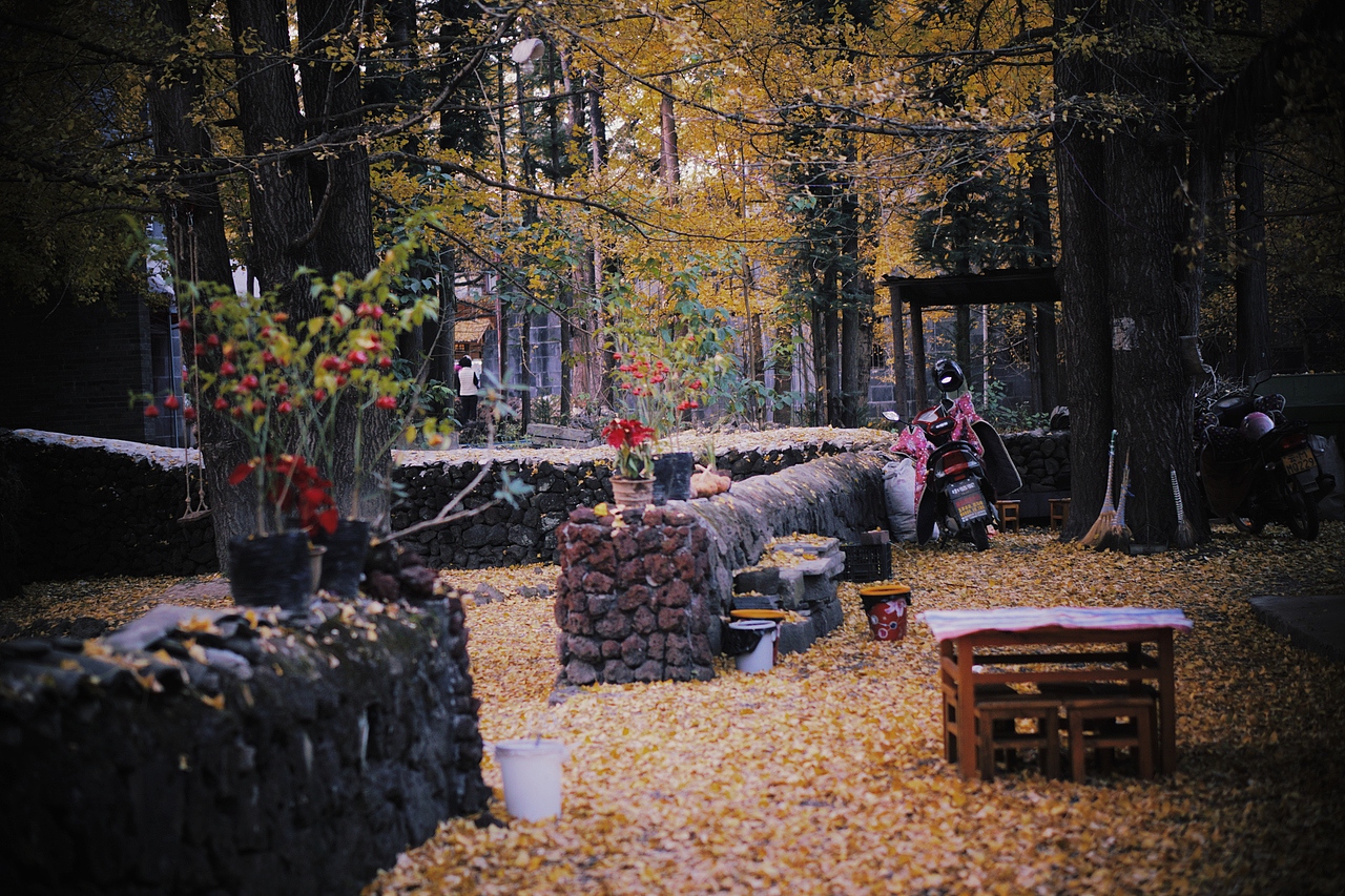 腾冲银杏村（图ZMjM1ODYzMDg0） - 人文/纪实摄影 - 站酷设计师烂手机换盆原创素材 - 站酷ZCOOL