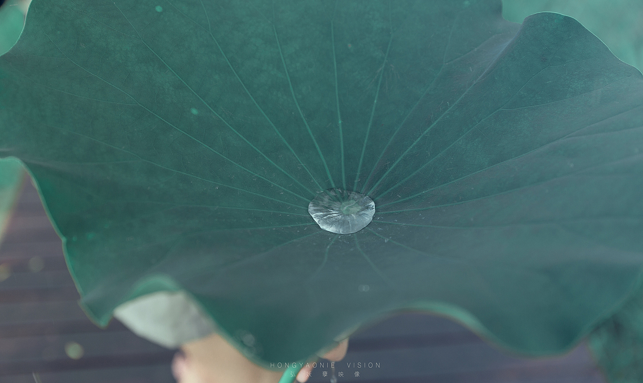 『青』（图ZODU2OTc3NTY=） - 人像摄影 - 站酷设计师张瑾熙原创素材 - 站酷ZCOOL