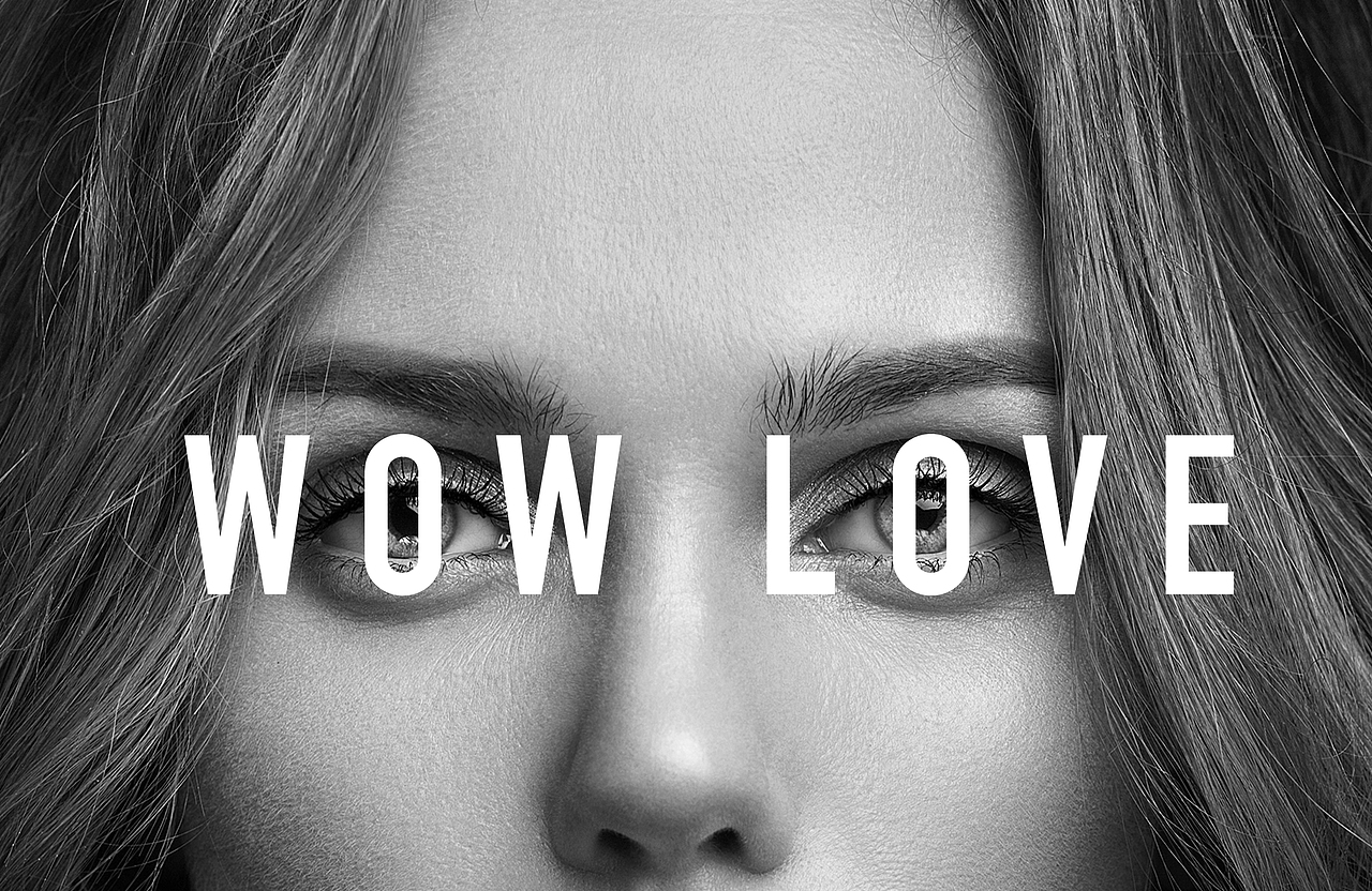 【品牌设计】吾乐创意wowlove品牌方案设计