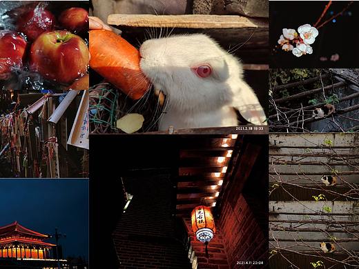 摄影作品（个人主页-ZNTc4NDYzMTI=） - 其他摄影 - 站酷设计师是三三啊原创素材 - 站酷ZCOOL