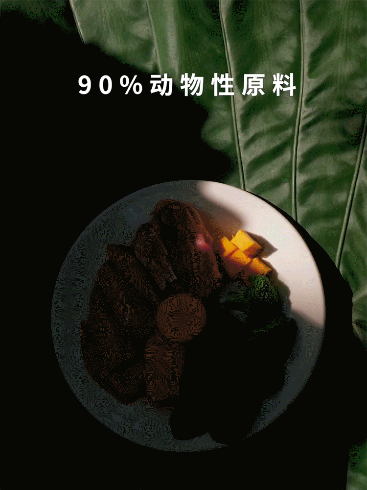 烘培猫粮 | 电商摄影 | 宠叔叔传媒