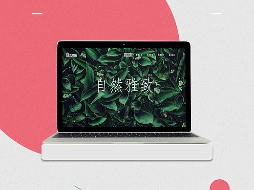 一屏式网页