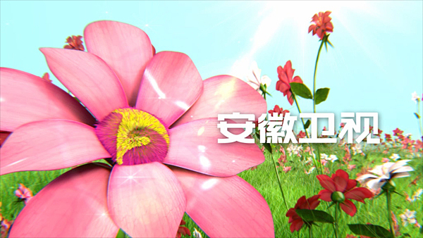 安徽卫视_春天ID（图ZMTY3NzkxMjg=） - 栏目片头 - 站酷设计师冠小小原创素材 - 站酷ZCOOL