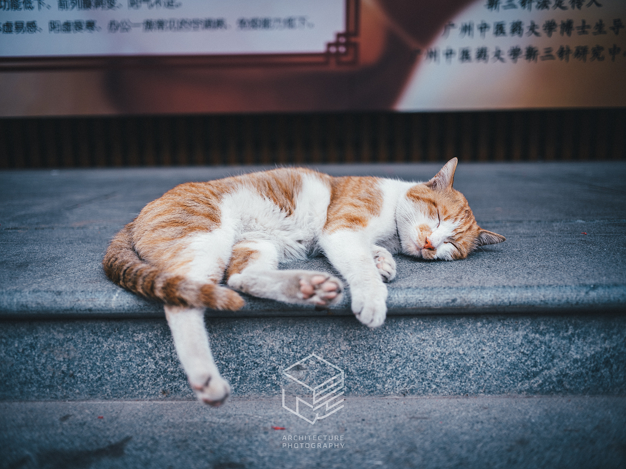 街头摄影|拍好广州-大街小巷系列(4.6日更新)