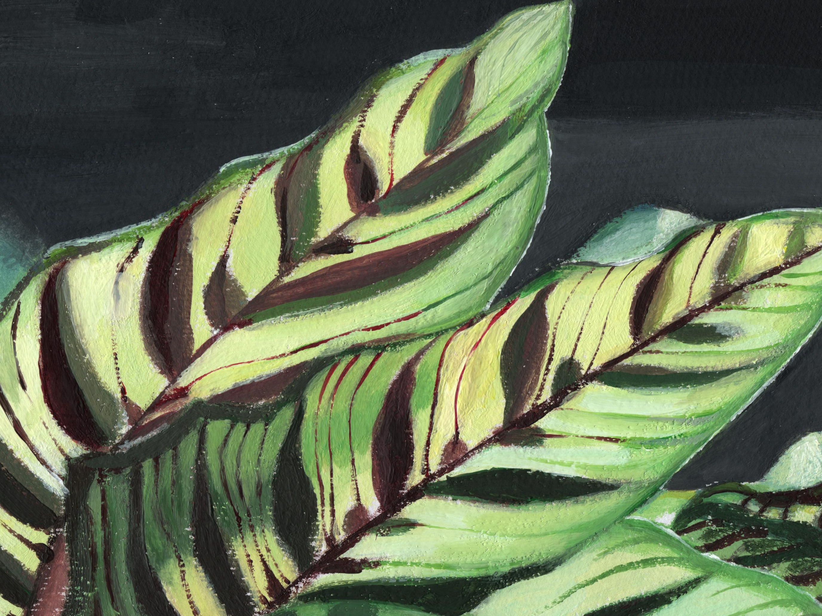 叶子_骞葆站酷ZCOOL