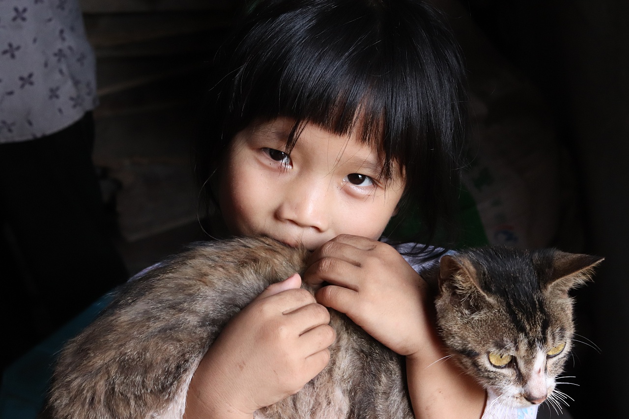 女孩和猫摄影5k图片-千叶网