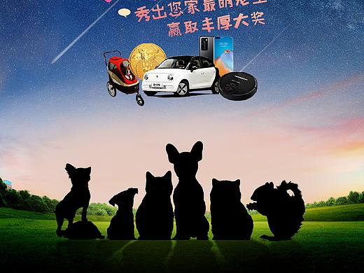 宠爱一生-微信小程序活动