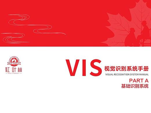 红林叶-养老服务公司-vis设计