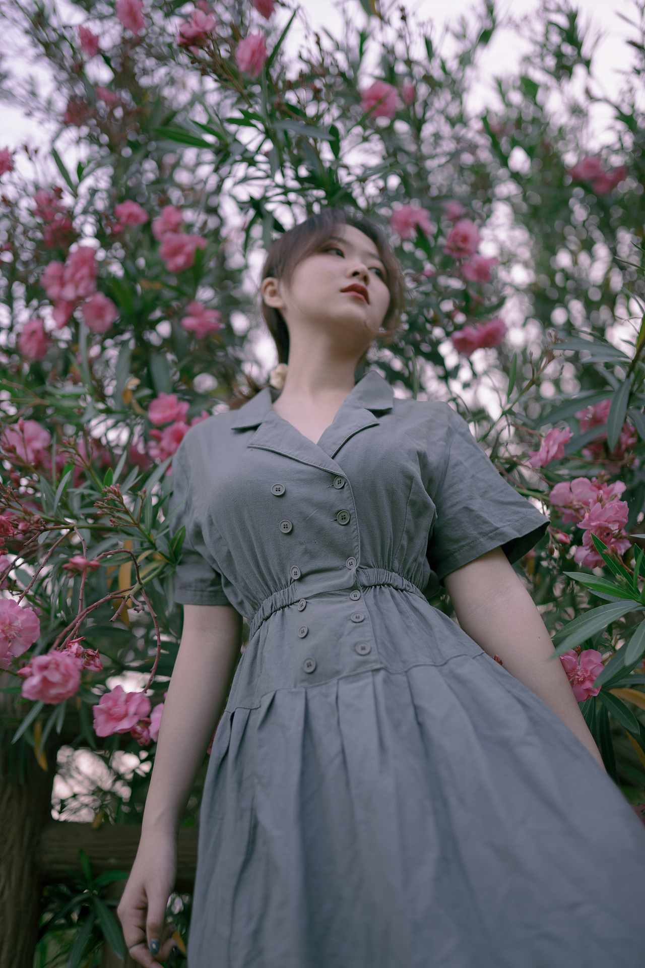 夹竹桃花开（图ZMjIzMjI3OTA4） - 人像摄影 - 站酷设计师POKYUIE原创素材 - 站酷ZCOOL