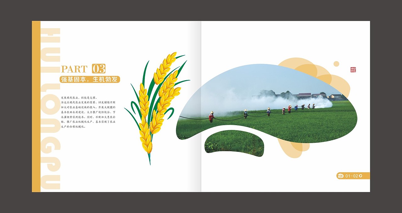 金色的希望 乡镇 画册（图ZMzYzNTc4MjQ=） - 书籍/画册 - 站酷设计师fxy216ccc原创素材 - 站酷ZCOOL