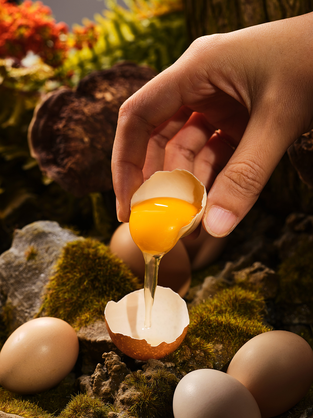 灵芝鸡蛋woodkailiustudio