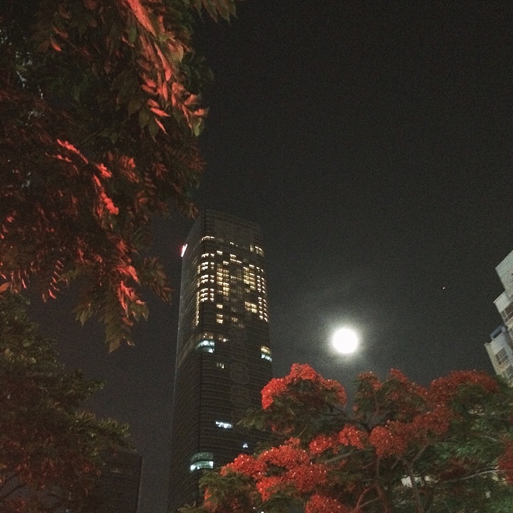 iPhone5s 摄（图ZMTg3MjU4NjI0） - 人文/纪实摄影 - 站酷设计师零一lemone原创素材 - 站酷ZCOOL