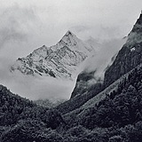 Narjeeling的头像