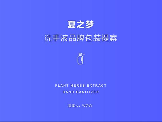 夏之梦包装设计提案