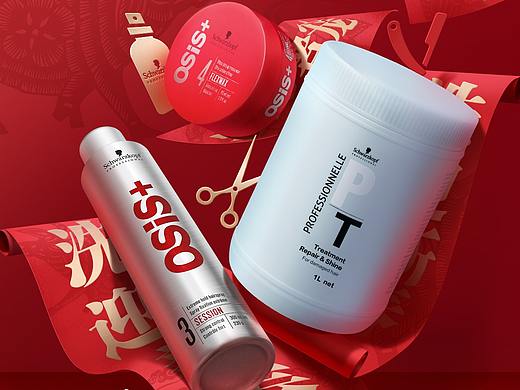 施华蔻专业年货节