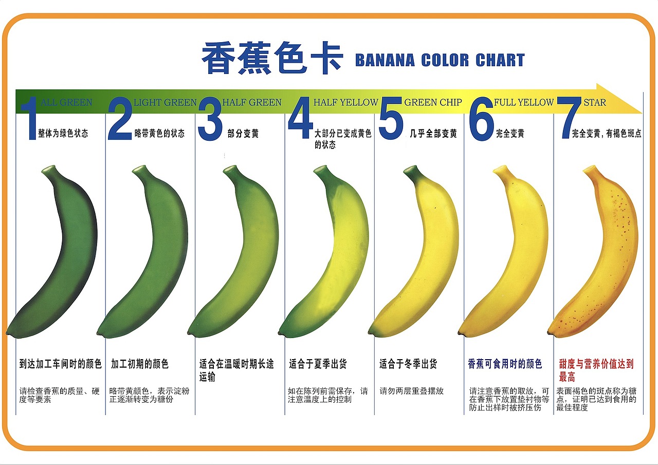 一系列超市kt板 展示