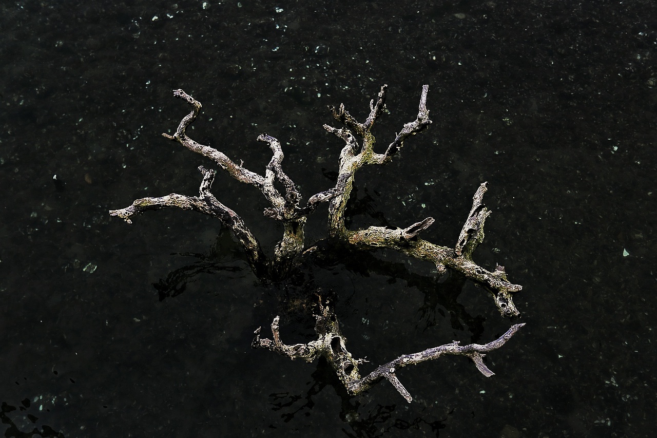 我的100张照片(照片版)