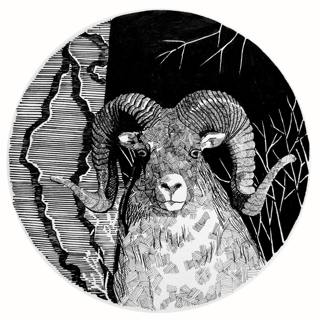 插画（图ZODYzOTI3MjA=） - 创作习作 - 站酷设计师姚翔翔原创素材 - 站酷ZCOOL