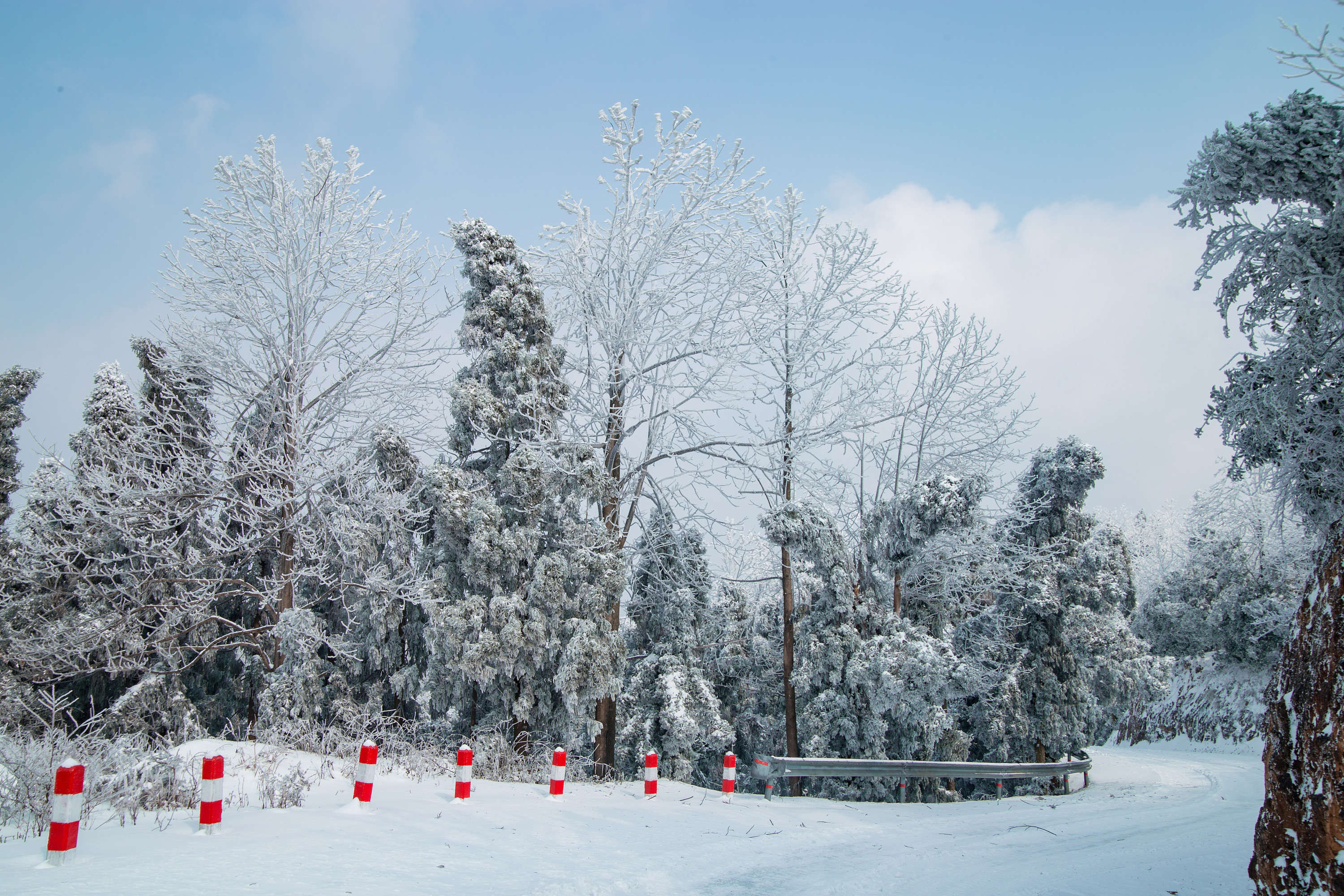 天晴看南方的雪