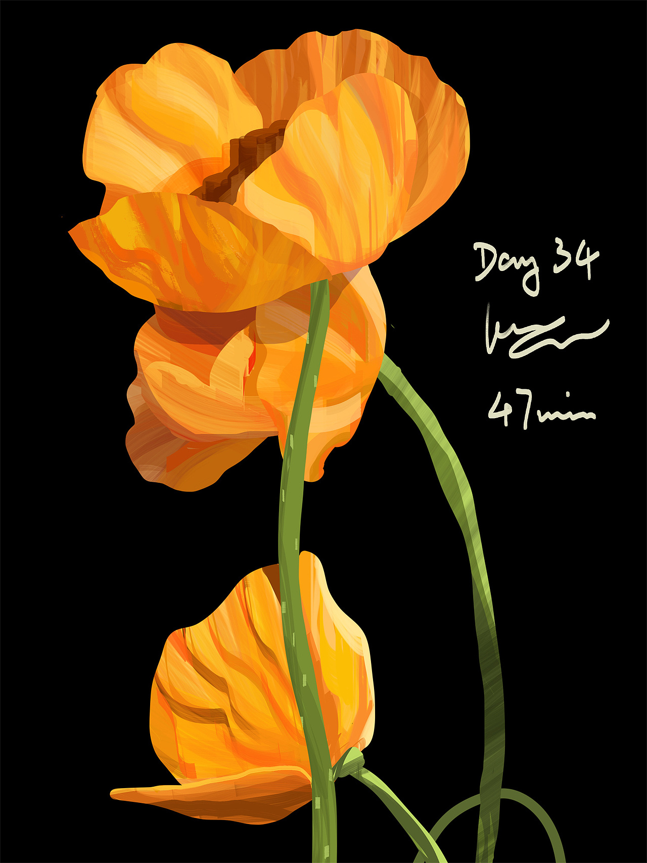 60Days 色彩速涂 | 胖白鼠的日常