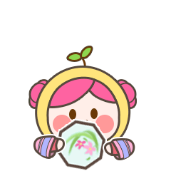 美柚形象创意大赛