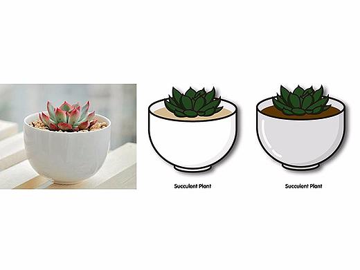 Succulent Plant--扁平化多肉植物~