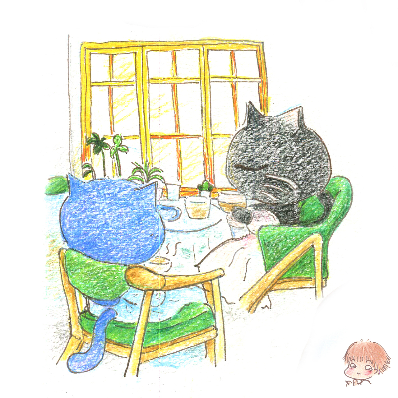 岛城猫咪和咖啡的故事