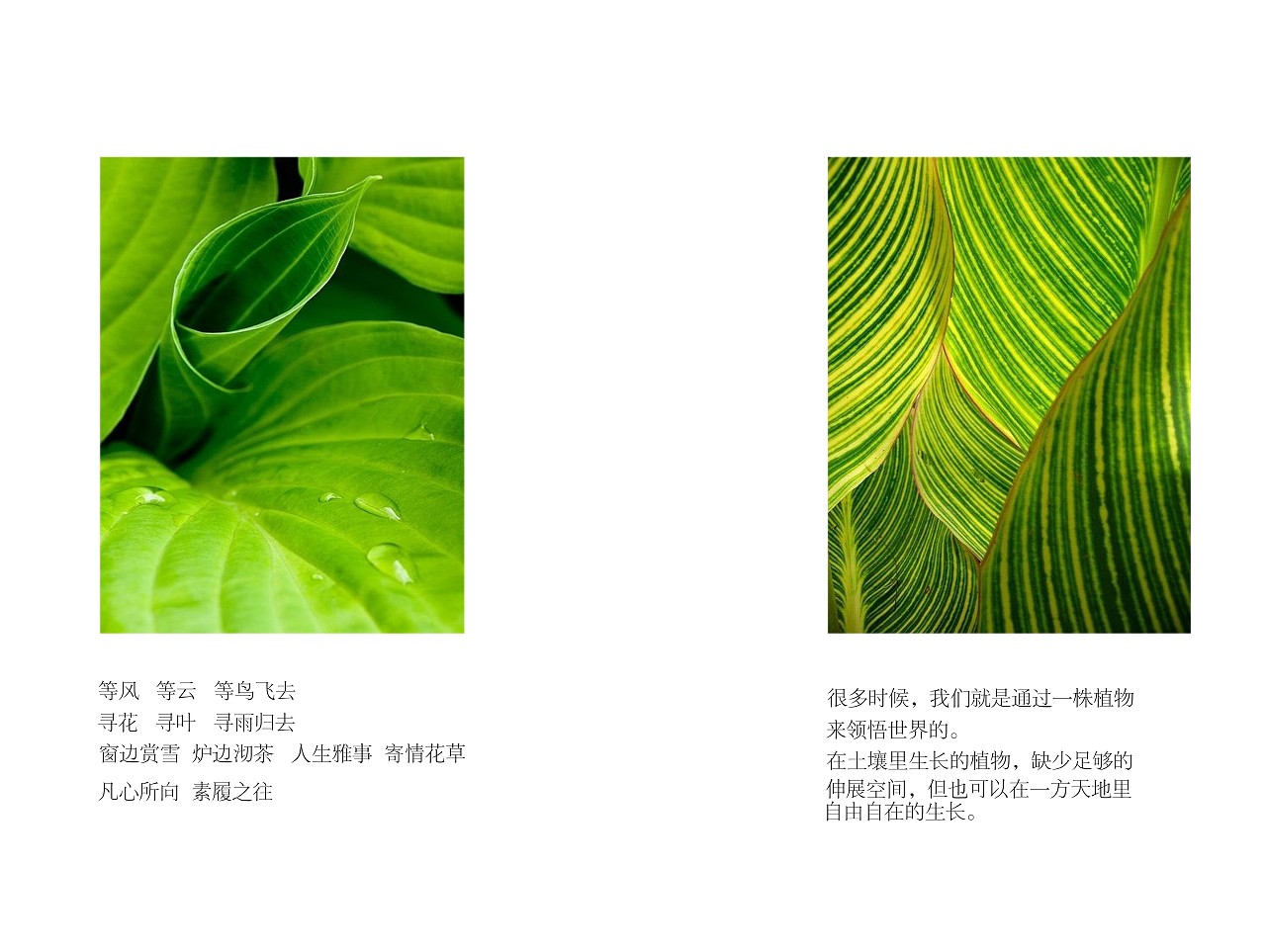 画册设计（图ZMTYxNzQyNTMy） - 书籍/画册 - 站酷设计师您期待的设计师原创素材 - 站酷ZCOOL