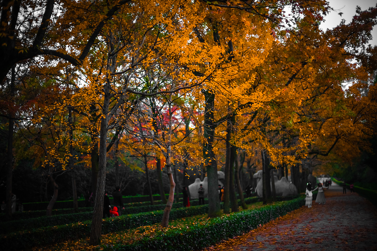 南京 零碎照片（图ZMTg1MDUwNTAw） - 人文/纪实摄影 - 站酷设计师JingPacify原创素材 - 站酷ZCOOL