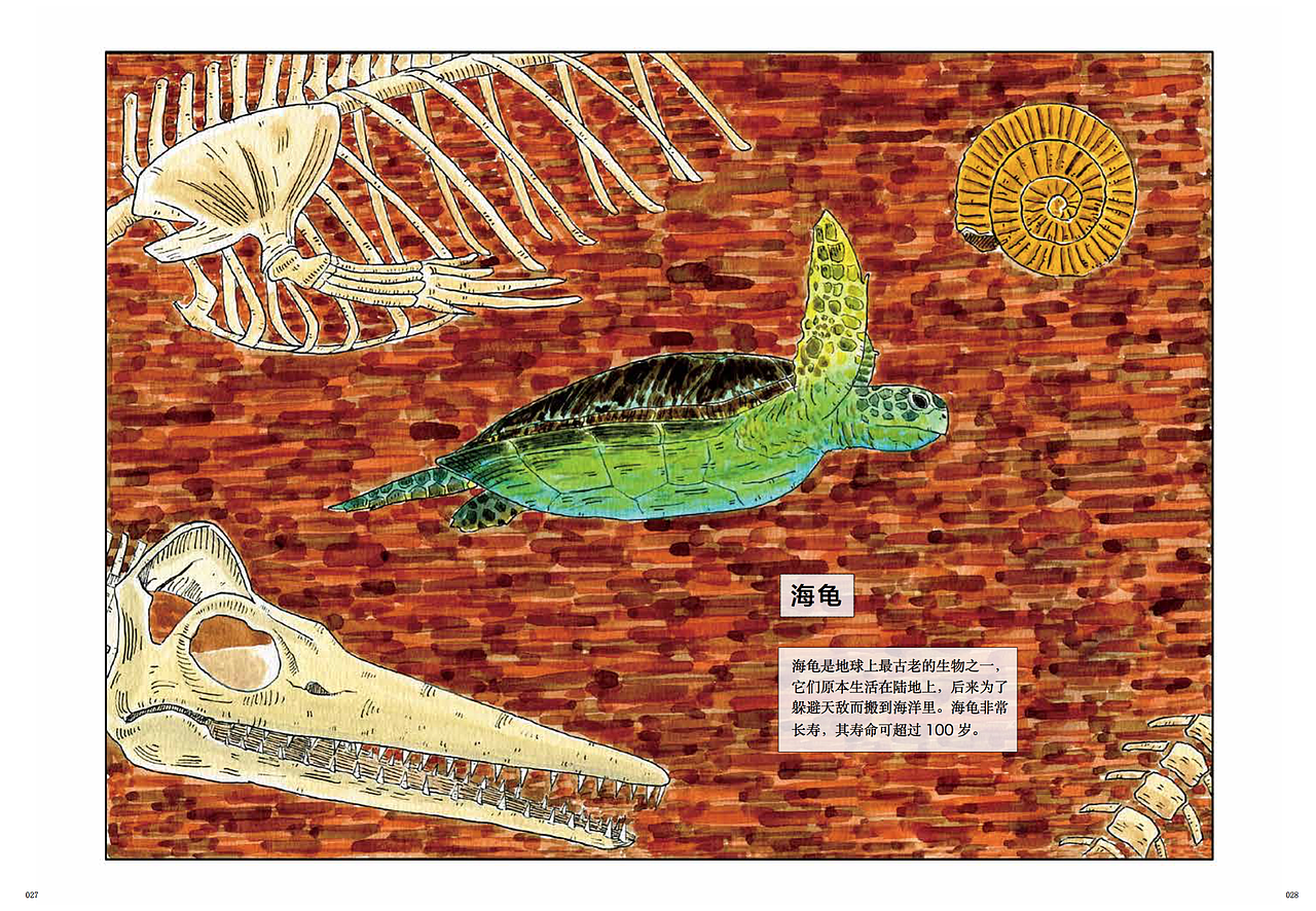 绘本海洋动物插画