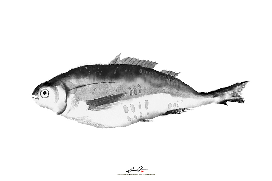 《真·摸鱼》（图ZMTY0OTg0ODE2） - 创作习作 - 站酷设计师瓜里瓜里瓜里原创素材 - 站酷ZCOOL