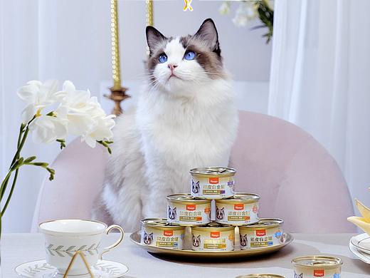 中宠WANPY猫罐头泰国进口白金罐高端宠物食品布偶猫