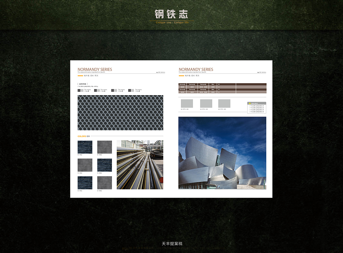 钢铁志（图ZNDQ1Mzc5OTY=） - 书籍/画册 - 站酷设计师一百只老虎原创素材 - 站酷ZCOOL
