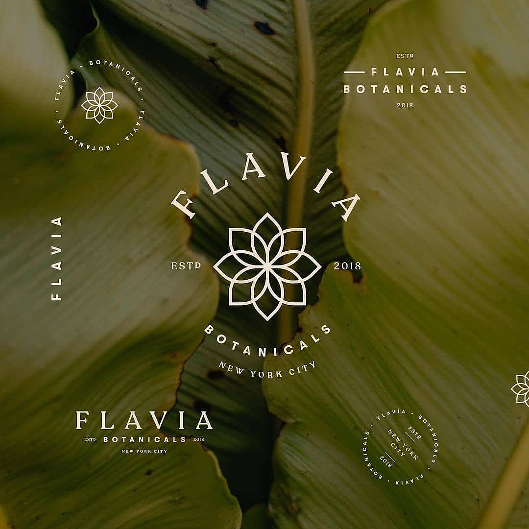 高级感绿色系logo设计品牌设计案例💚