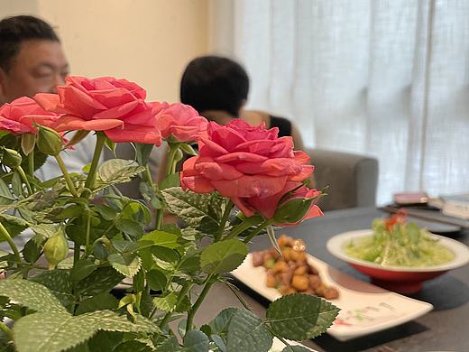 手机摄影—这就是幸福！