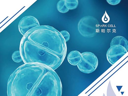 公司介绍易拉宝