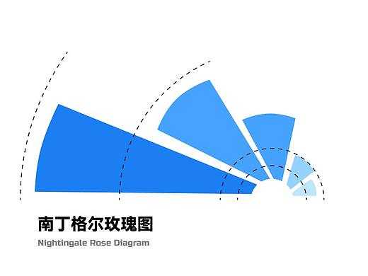 “南丁格尔玫瑰图”指南