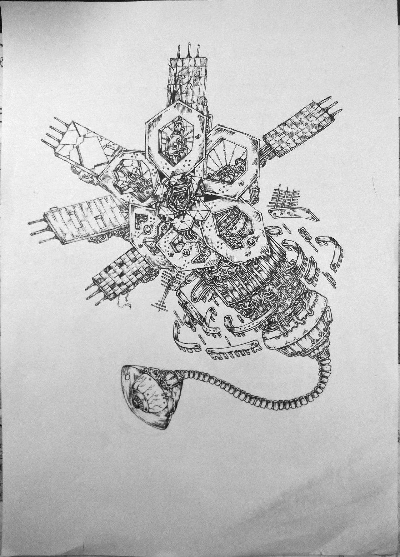 中性笔下的乌托邦生物