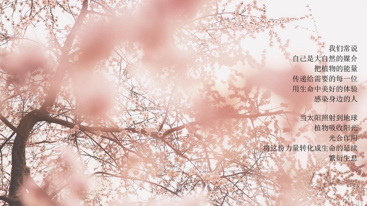 2018合景尚峰五月周末暖场活动策划方案.