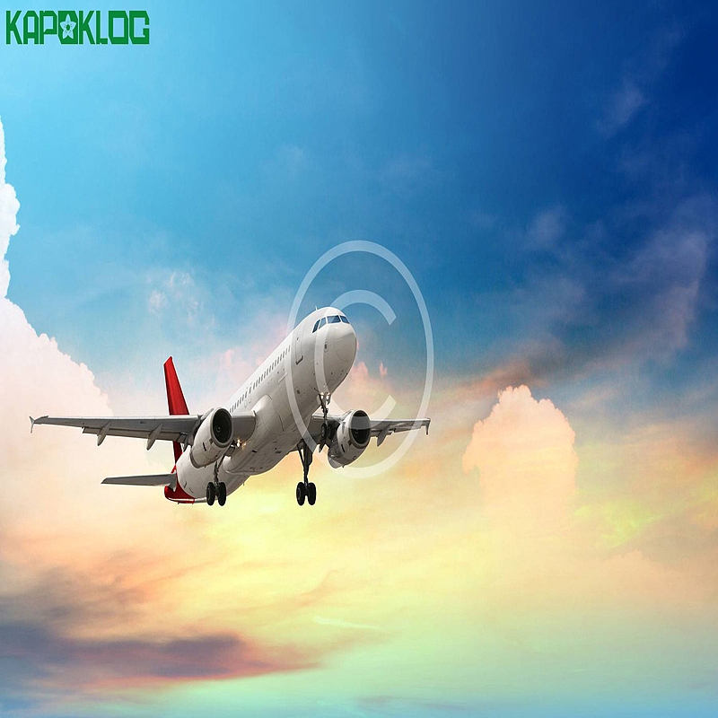 盛顺物流DGcargo双清关迪拜约旦沙特空运海运拼箱DDP（图ZMTc3NzMxMjEy） - 品牌 - 站酷设计师盛顺物流原创素材 - 站酷ZCOOL