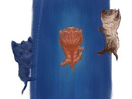 為什么我的貓貓不會(huì)呢