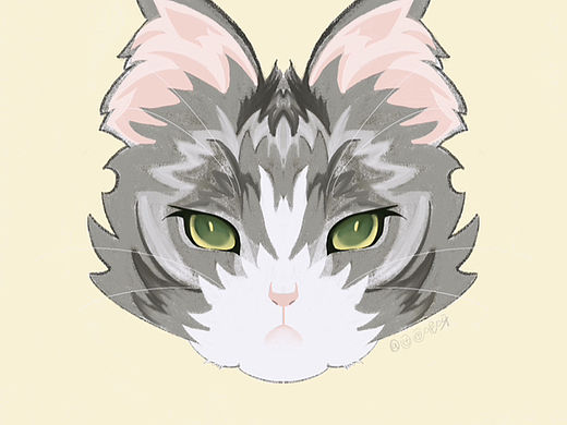 猫猫大头贴