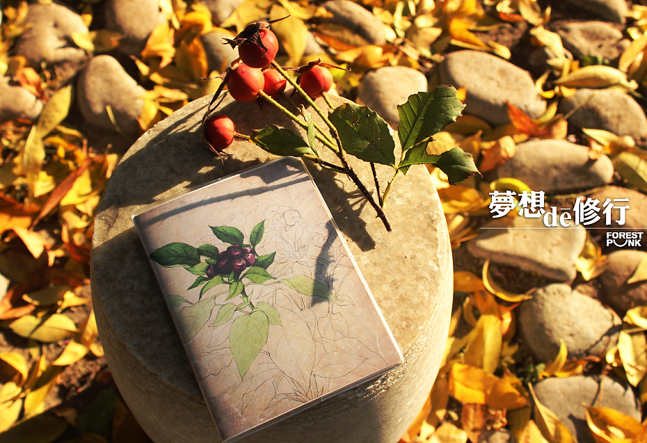 梦想de修行 系列之初起（图ZODA1OTY1Mg==） - 绘画 - 站酷设计师自由的猞猁原创素材 - 站酷ZCOOL