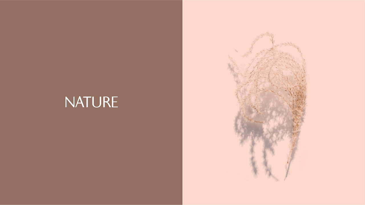 蜜兜 | 品牌设计