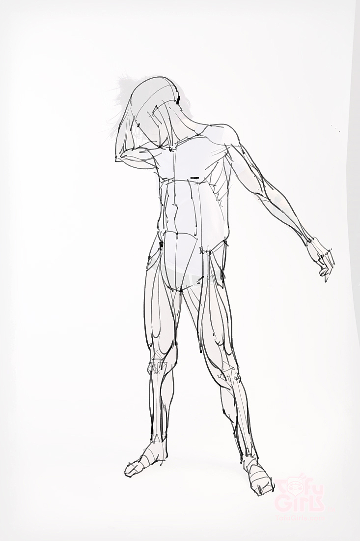 「素材」分享一波绘画专用人体解剖素材 part 09