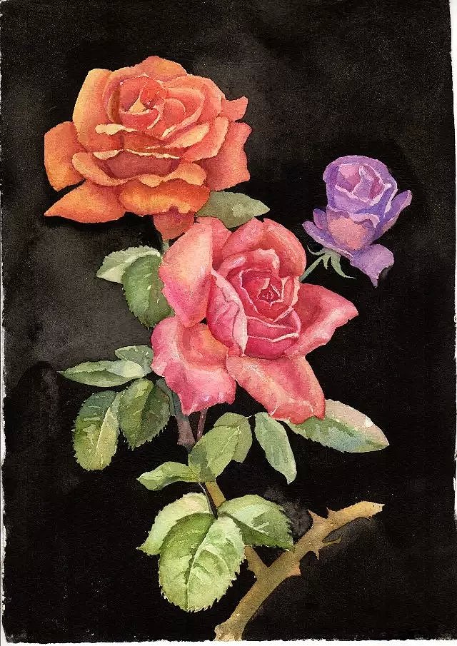 三张小花画|插画|创作习作|你好海燕子_原创作品-站酷zcool