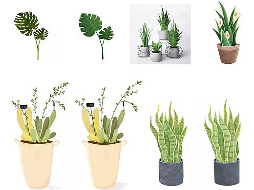 植物小練習(xí)（個人主頁-ZNDUyMTYyNzY=） - 創(chuàng)作習(xí)作 - 站酷設(shè)計師Haloa_Yan原創(chuàng)素材 - 站酷ZCOOL